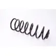 Ressort de suspension MAGNUM TECHNOLOGY SW050MT - Visuel 1