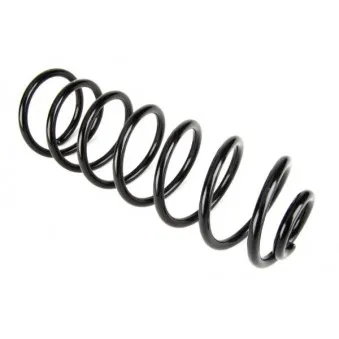 Ressort de suspension MAGNUM TECHNOLOGY SW051MT