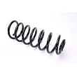 Ressort de suspension MAGNUM TECHNOLOGY SW062MT - Visuel 1