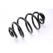 Ressort de suspension MAGNUM TECHNOLOGY SW065MT - Visuel 2