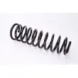 Ressort de suspension MAGNUM TECHNOLOGY SW072MT - Visuel 1