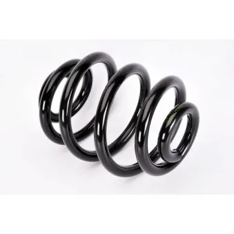 Ressort de suspension MAGNUM TECHNOLOGY