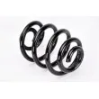 Ressort de suspension MAGNUM TECHNOLOGY SW076MT - Visuel 2