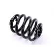 Ressort de suspension MAGNUM TECHNOLOGY SW078MT - Visuel 1