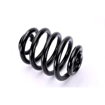 Ressort de suspension MAGNUM TECHNOLOGY SW078MT