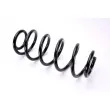 Ressort de suspension MAGNUM TECHNOLOGY SW104MT - Visuel 1