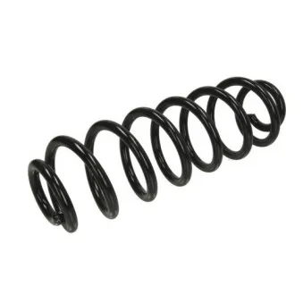 Ressort de suspension MAGNUM TECHNOLOGY