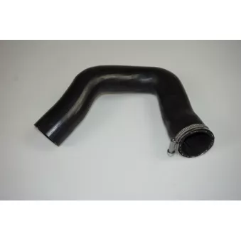 Gaine de suralimentation LTD LTD-8E0145832AH