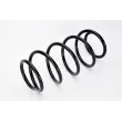 Ressort de suspension MAGNUM TECHNOLOGY SX011MT - Visuel 2