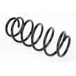 Ressort de suspension MAGNUM TECHNOLOGY SX013MT - Visuel 1