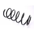 Ressort de suspension MAGNUM TECHNOLOGY SX049MT - Visuel 1