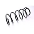 Ressort de suspension MAGNUM TECHNOLOGY SX049MT - Visuel 2