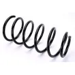 Ressort de suspension MAGNUM TECHNOLOGY SX050MT - Visuel 1