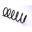 Ressort de suspension MAGNUM TECHNOLOGY SX056MT - Visuel 1