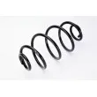 Ressort de suspension MAGNUM TECHNOLOGY SX077MT - Visuel 2
