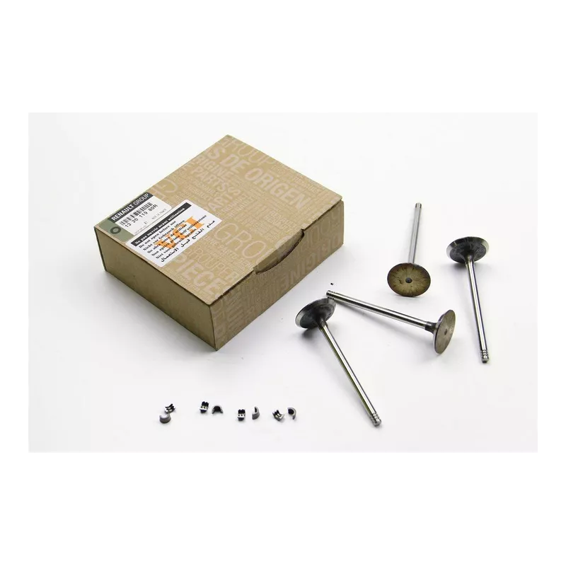 Ensemble de 4 soupapes d'admission OE 132011980R