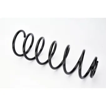 Ressort de suspension MAGNUM TECHNOLOGY