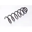 Ressort de suspension MAGNUM TECHNOLOGY SX116MT - Visuel 2
