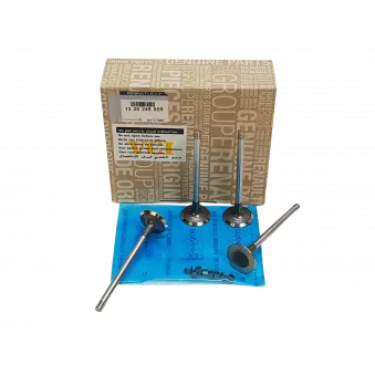 Ensemble de 4 soupapes d'échappement OE 132024905R