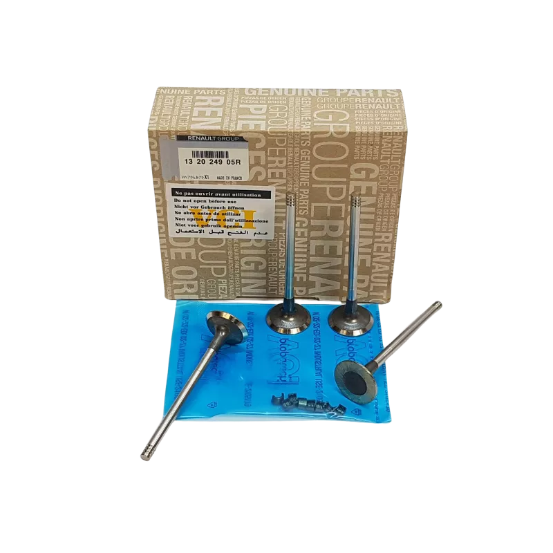 Ensemble de 4 soupapes d'échappement OE 132024905R