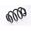 Ressort de suspension MAGNUM TECHNOLOGY SX147MT - Visuel 2