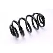 Ressort de suspension MAGNUM TECHNOLOGY SX169MT - Visuel 2