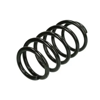 Ressort de suspension MAGNUM TECHNOLOGY