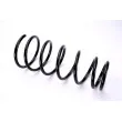 Ressort de suspension MAGNUM TECHNOLOGY SZ2097MT - Visuel 1