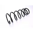Ressort de suspension MAGNUM TECHNOLOGY SZ2097MT - Visuel 2