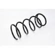 Ressort de suspension MAGNUM TECHNOLOGY SZ3025MT - Visuel 2