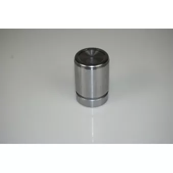 Piston, étrier de frein LTD LTD-211