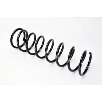 Ressort de suspension MAGNUM TECHNOLOGY SZ3031MT