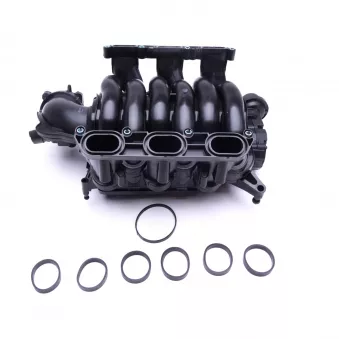 Module de tube d'admission LTD LTD-06E133151L