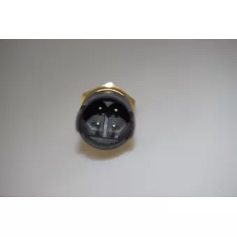Sonde de température, liquide de refroidissement LTD LTD-13621703993