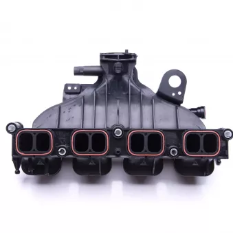 Module de tube d'admission LTD LTD-LR025405