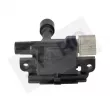 Bobine d'allumage STARQ SQ122-19353 - Visuel 3