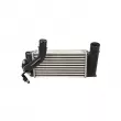 Intercooler, échangeur CLIMTEX CH4-832 - Visuel 2