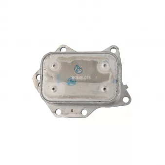 Radiateur d'huile CLIMTEX CH8-164
