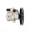 Pompe hydraulique, direction PROCARO 11-OP-110 - Visuel 1
