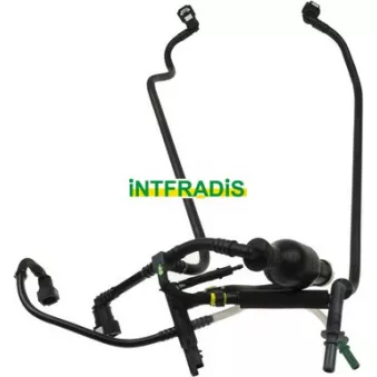 Tuyauterie de carburant INTFRADIS 10212