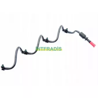 Tuyauterie de carburant INTFRADIS 10278
