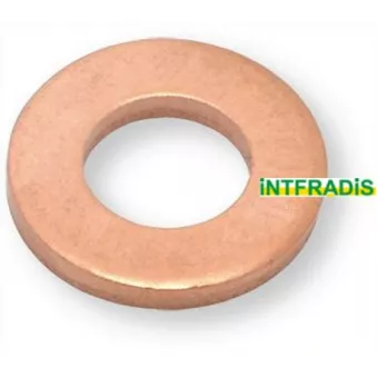 Joint d'étanchéité, porte-injecteur INTFRADIS