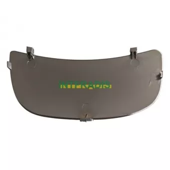Verre de rétroviseur, rétroviseur extérieur INTFRADIS
