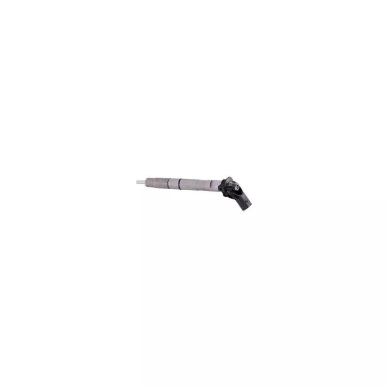 Injecteur BÖLK BOL-N040871
