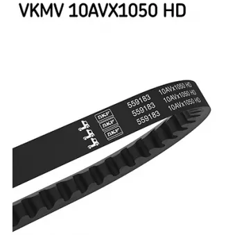 Courroie trapézoïdale SKF VKMV 10AVX1050 HD