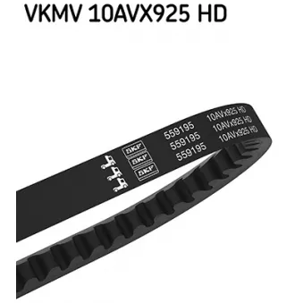 Courroie trapézoïdale SKF VKMV 10AVX925 HD