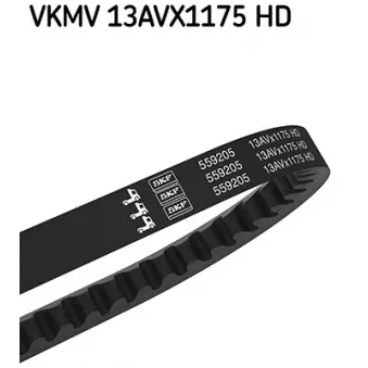 Courroie trapézoïdale SKF VKMV 13AVX1175 HD