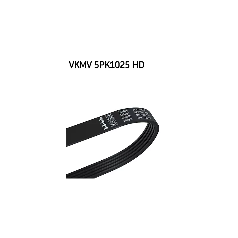 Courroie trapézoïdale à nervures SKF VKMV 5PK1025 HD