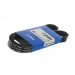 Courroie trapézoïdale à nervures SKF VKMV 6PK1020 R - Visuel 1