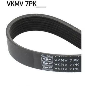Courroie trapézoïdale à nervures SKF VKMV 7PK1076